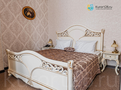  Пансионат &laquo;Плаза&raquo; г. Ессентуки. Номера